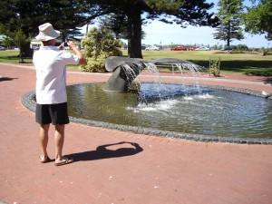 A true Whale of a Tail fountain