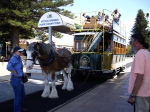 The horse and cart transports only tourists these days