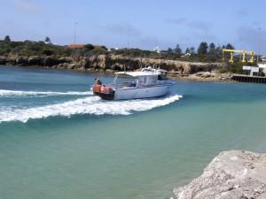 Commercial Fisherman returning with day's catch