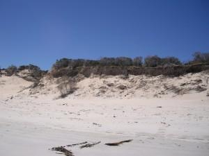 Southend beach erosion 