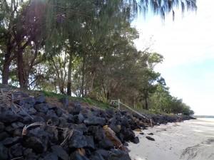 Burrum river and National Park 023a