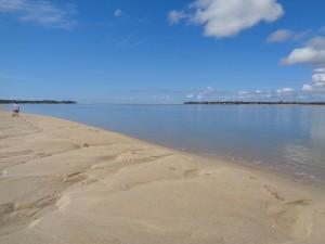 Burrum river and National Park 028a