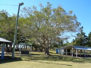 Capricorn Coast 021