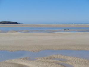 Farnborough Beach and Corio Bay 007