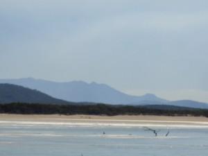 Farnborough Beach and Corio Bay 009