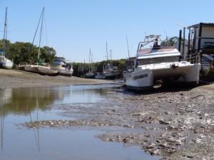 Yeppoon Harbour and North Beach 013