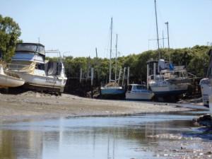 Yeppoon Harbour and North Beach 014