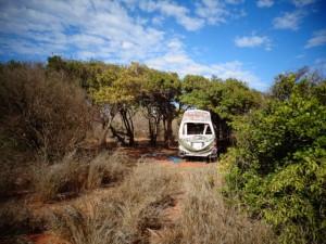 Dampier peninsula, James Price Point 015