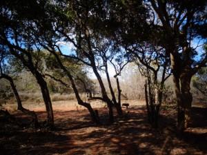 Dampier peninsula, James Price Point 016