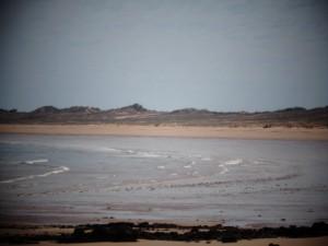 Dampier peninsula, James Price Point 032