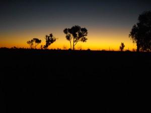 Sunset in the desert