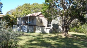 Swamp shack at the edge of the mangroves