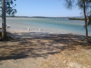 Low tide up the creek 