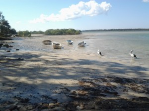 A cove filled with boats